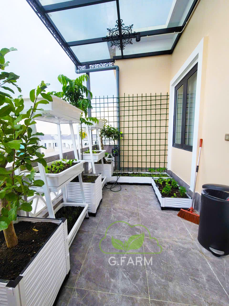 Vườn rau anh Dũng Vinhome Oceanpark 3